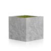 Sqaure Moss Pot