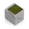 Sqaure Moss Pot