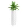 3D Plants IV - CGAxis Models Volume 60 - Image 2