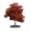 3D Plants IV - CGAxis Models Volume 60 - Image 3
