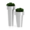 3D Plants IV - CGAxis Models Volume 60 - Image 4