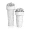 Two Plants in Large Metal Pots