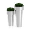 Two Plants in Large Metal Pots