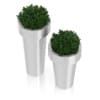 Two Plants in Large Metal Pots
