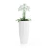 3D Plants IV - CGAxis Models Volume 60 - Image 5
