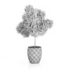 Potted Tree