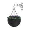 3D Plants IV - CGAxis Models Volume 60 - Image 8