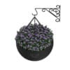 Wall Hanging Flowers
