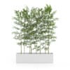 3D Plants IV - CGAxis Models Volume 60 - Image 11