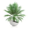 3D Plants IV - CGAxis Models Volume 60 - Image 12