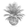 Palm Tree in Modern Pot