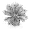 Palm Tree in Modern Pot