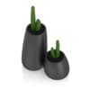 Two Cactuses in Black Pots