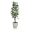 3D Plants IV - CGAxis Models Volume 60 - Image 14