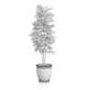 Small Tree in Stone Pot