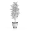 Small Tree in Stone Pot