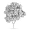 Sycamore Maple (Acer pseudoplatanus)