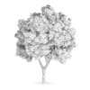 Sycamore Maple (Acer pseudoplatanus)