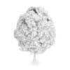 Common Ash (Fraxinus excelsior)