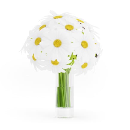 3d Daisies in Glass Vase