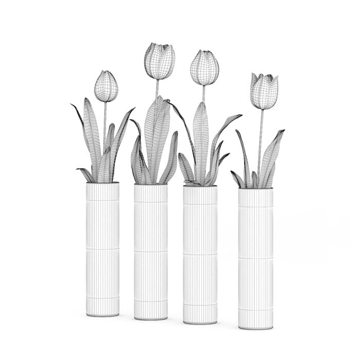 3d Four Tulips in Glasses