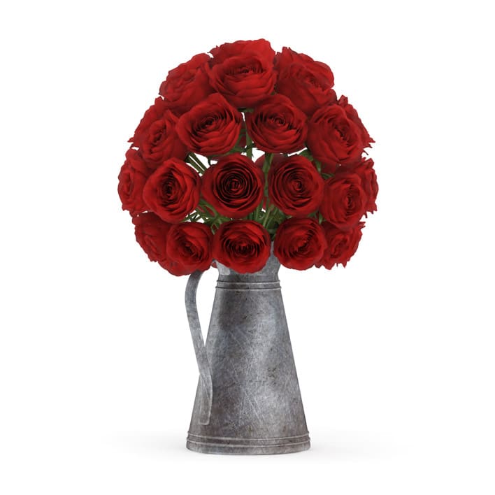 3d Red Roses in Metal Kettle