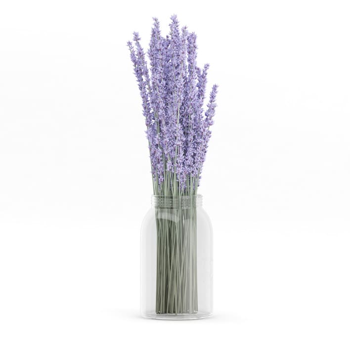 3d Purple Lupine in a Jar