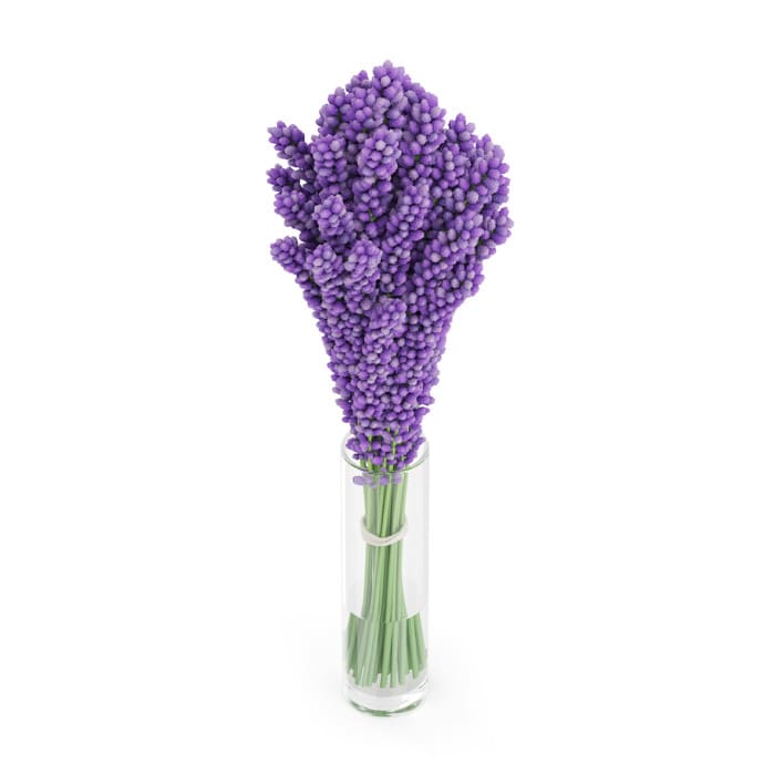 3d Violet Lupine in Glass Vase