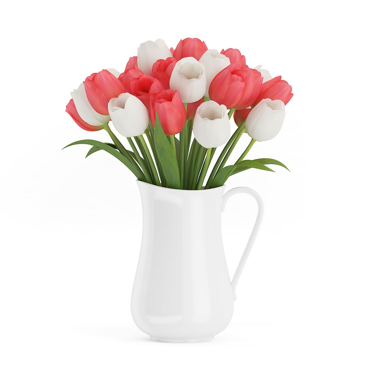 Red and White Tulips