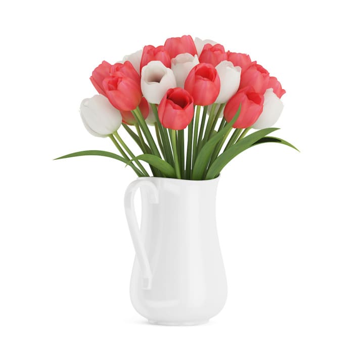 3d Red and White Tulips