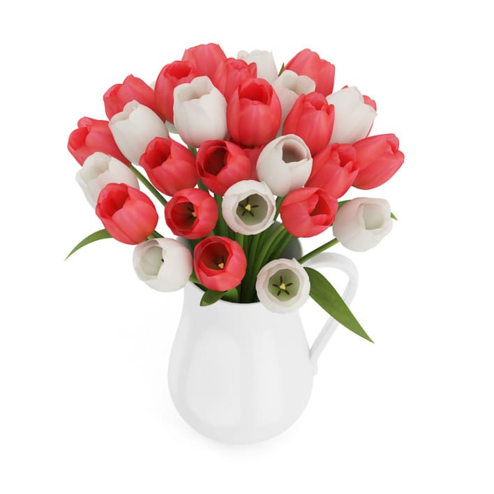 3d Red and White Tulips