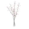 3d Flowering Tree Twigs in Glass Vase