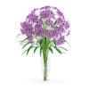 3d Purple Flowers in Glass Vase