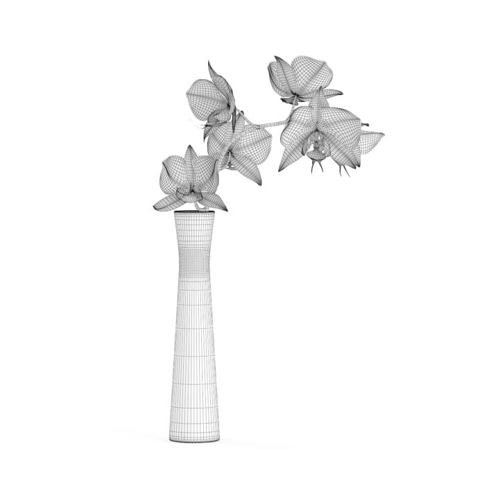 3d Orchid Flower in White Vase