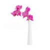 3d Orchid Flower in White Vase