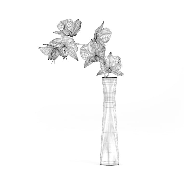 3d Orchid Flower in White Vase