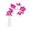 3d Orchid Flower in White Vase