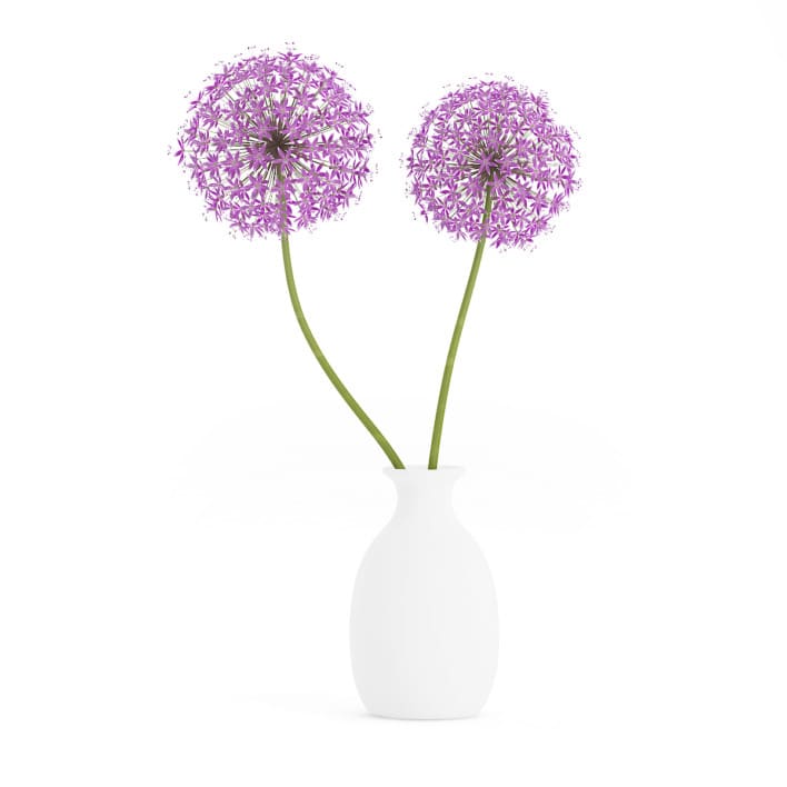 3d Small Purple Flowers in White Vase