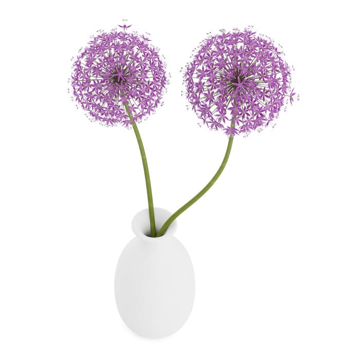 3d Small Purple Flowers in White Vase