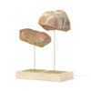 3d Rock Samples