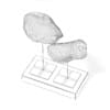 3d Rock Samples
