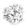 3d Japanese Maple