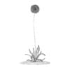 3d Allium Plant