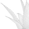 Aloe (Aloe Vera) - Image 8