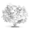 3d Amur Maple