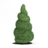 3d Boxwood plant