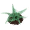 3d Fern