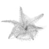 3d Fern