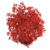 3d Flowering Quince Plant