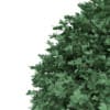 Round Boxwood Plant (Buxus sempervirens) - Image 7